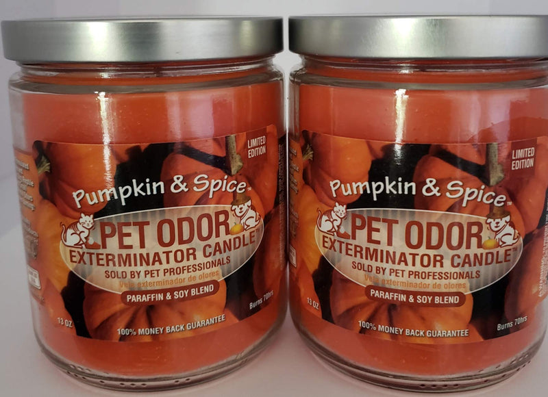 Pet Odor Eliminator Candle — Pumpkin Spice Scent, Set of 2